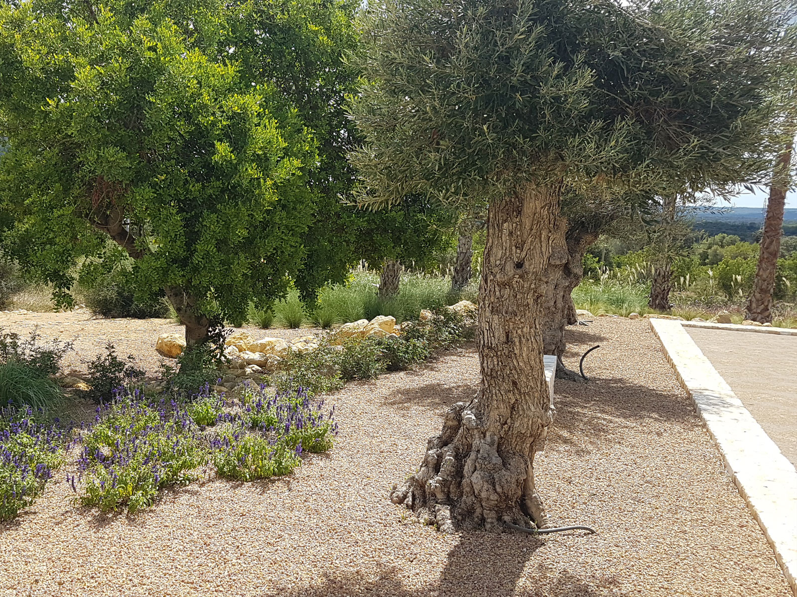 20200904_124836_SANTHO.es_Ses_Veles