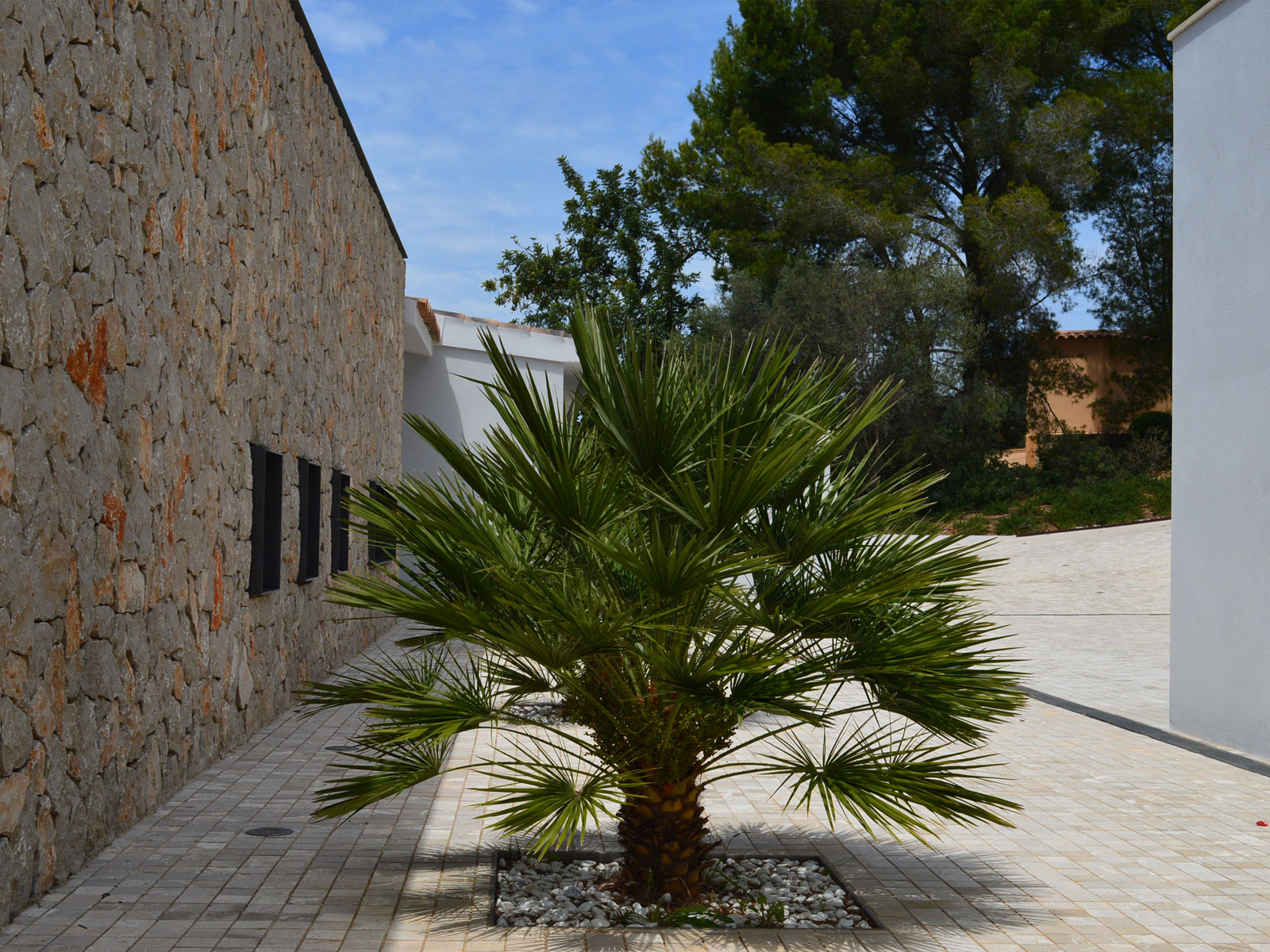 SANTHOS.es_Son_Font_0116